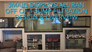 Multiple aquariums all ran off of 1 sump filtration 1st video design & overview with more to come by DIY Dan 476 views 7 months ago 10 minutes, 11 seconds