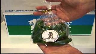 野菜宅配の【九州の空】で「お試しセット」を購入！！体験談を動画で紹介