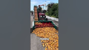 China’s Fast Corn Peeling Machine