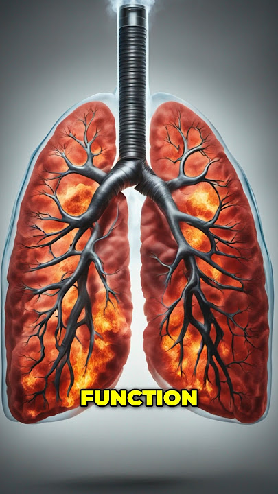 The Dangers of VAPING 🌬️