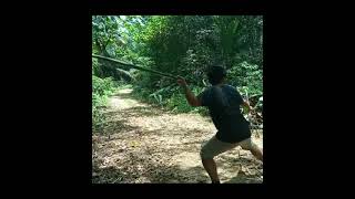 berburu babi hutan hanya menggunakan tombak, dayak kalimantan #short screenshot 1