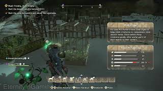 Pet Kemono Seed Wild Hearts