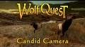 candid camera episode 4 from www.youtube.com
