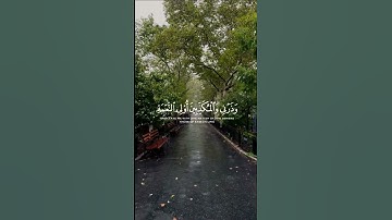 وصبر على ما يقولون ||عبدالرحمن مسعد#القرآن#لاحول_ولا_قوة_الا_بالله #آيات#قران_بصوت_جميل #الاستغفار