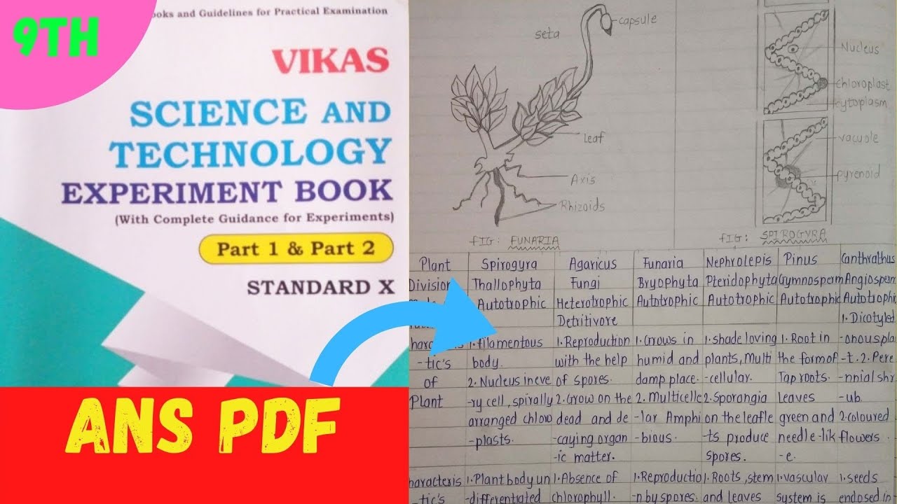 ebook store  Update  9 Std Vikas Experiment Book Answers Pdf l Download Pdf l