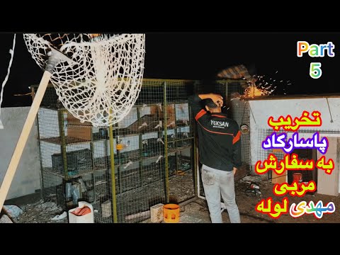 خرابکاری مهدی لوله هنگام تخریب پاسارگادخانه تور کبوتران رنگه مسافتی چالش آموزش۵۰جنگنده 35چاشنی مشهد