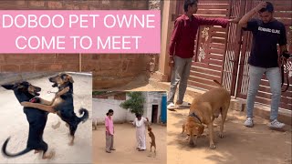 Joy Labrador come to Hostel and Doboo pet parents come to Meet after 22 days @dogloverprakash