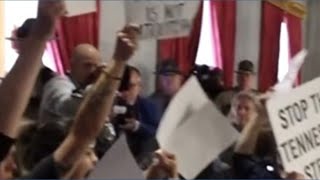 Protestors removed from gallery during House floor session