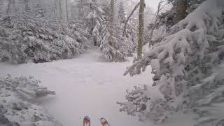 Stratton trees