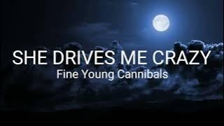 Fine Young Cannibals - She Drives Me Crazy (Lyrics)