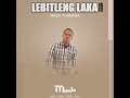 Medingwana Mp3 Song