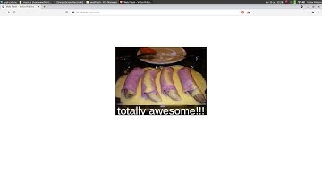 Web Flash - Part 3 - Image element and export to video