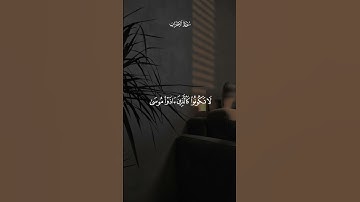 يَوْمَ تُقَلَّبُ وُجُوهُهُمْ فِي النَّارِ||سورة الأحزاب #ماهر_المعيقلي 🤍🌱