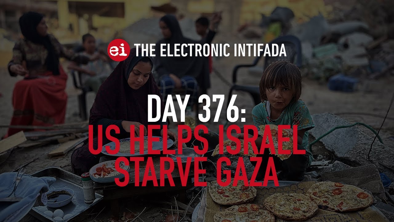 Breaking news and analysis on day 376 of Gaza's Al-Aqsa Flood | The ...