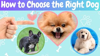 【6Steps】How to Choose the Right Dog for You