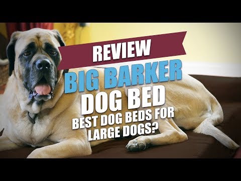 big-barker-dog-bed-review-(2018)-best-dog-beds-for-large-dogs?