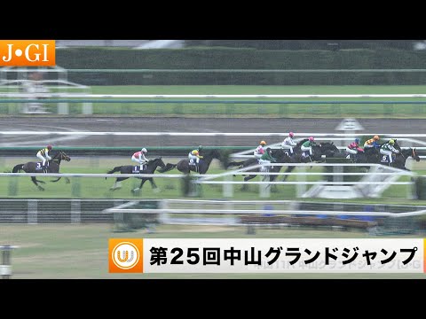 【2023】第25回 中山グランドジャンプ（J•GI）中山競馬場11R ｜ウイニング競馬 2023年4月15日（土）