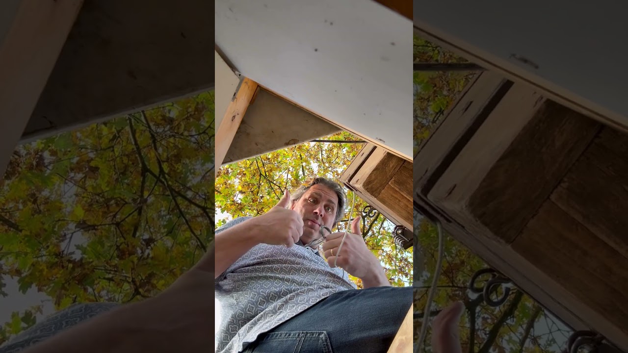 Сюрприз среди цветов! 