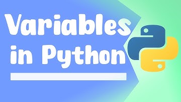 Python Variables Explained: Building Blocks of Code | ByteAdmin