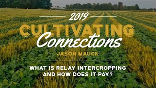 Jason Mauck - What is relay intercropping and how does it pay? - PFI Annual Conference 2019