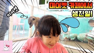 미어켓 카페에서 얼어버린 나린?! 미어켓 카페에서 생긴일! 가족일상 vlogㅣ토깽이네상상놀이터RabbitPlay