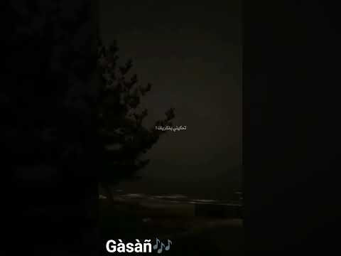 لك وكلشي أسى زاد حب وحنان الشامي اكسبلور لايك