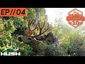 VELVET MULEY ON THE GROUND! | BSY3 - 04