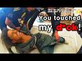 When a Spoiled Brat's Meltdown Ends in Getting TAZED by Cops