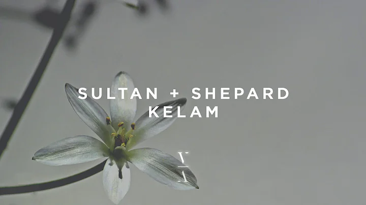 Sultan + Shepard - Kelam