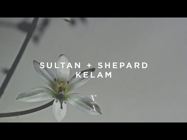 SULTAN/SHEPARD - Kelam