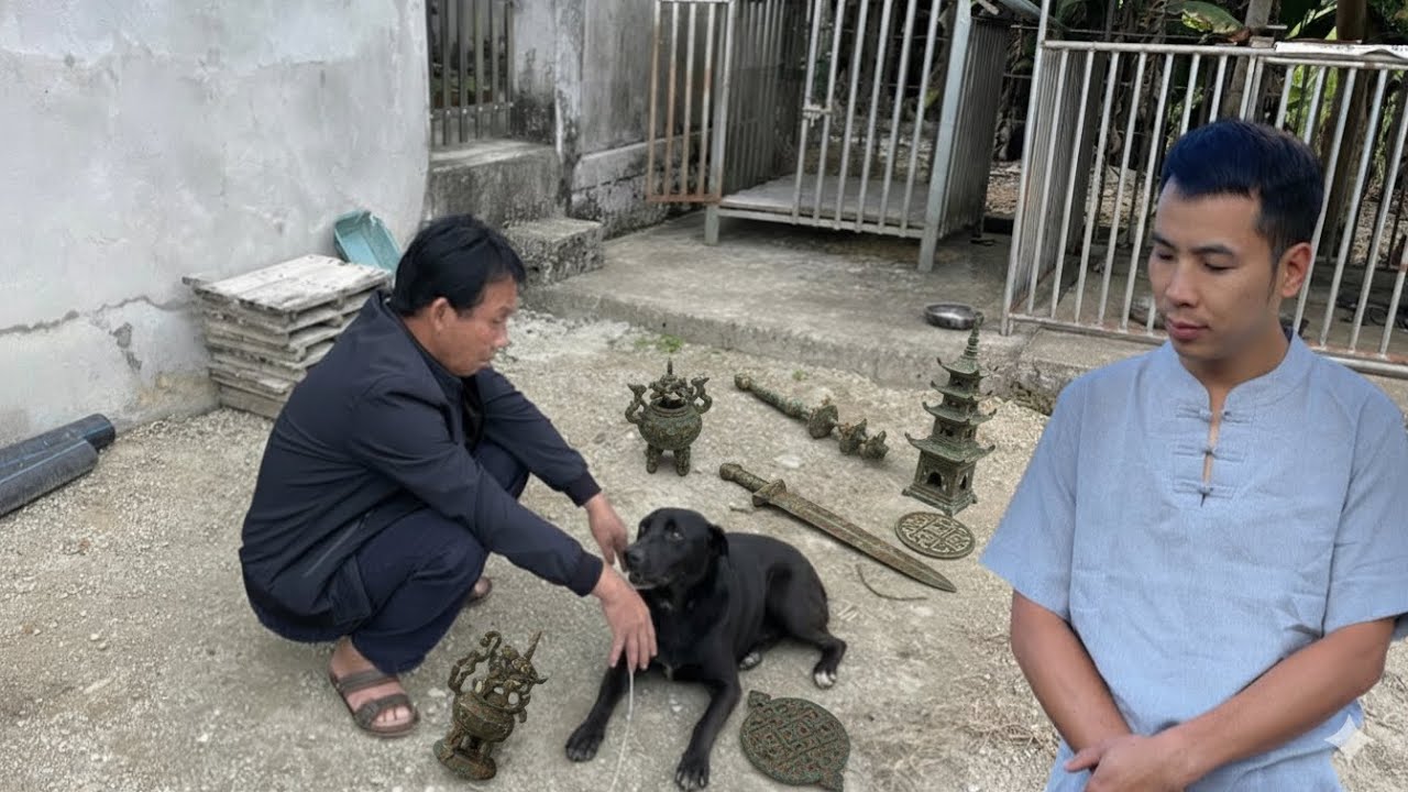 Bất Ngờ Chú Chó Đen Ra Đi Đột Ngột Khi Chủ Nhân Vô Tình Đào Trúng Cổ Vật | Lưu Hậu - Giải Mã Giấc Mơ