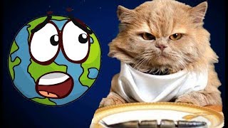 Котик Едун и съедобная планета, мультик игра Детский летсплей, Tasty Planet #4