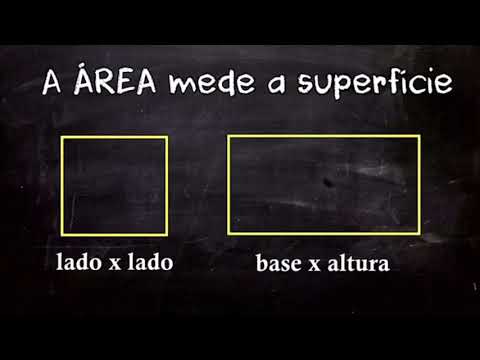 ÁREA E PERÍMETRO - 5° ANO