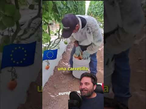 Conocías esta flor?
