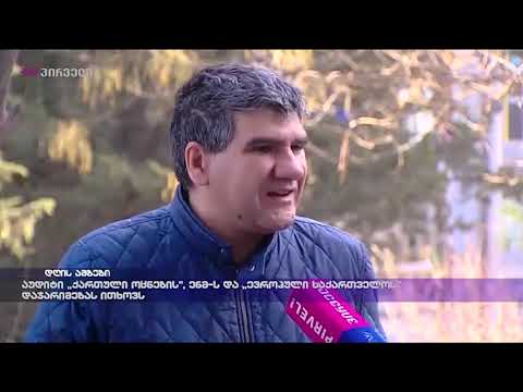 აუდიტი „ქართული ოცნების“  ენმ - ს და „ევროპული საქართველოს“  დაჯარიმებას ითხოვს