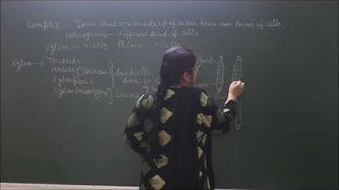 Bio-IX-2-04 Complex tissue of plants,  Pradeep Kshetrapal channel