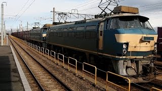 2015/01/17 JR Freight: Cargo Train by EF66 24 + EF66 36 at Nagoya Kamotsu Terminal