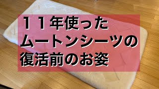 ムートンシーツをお使いの方も、お使いじゃない方も、羊のお布団のお手入れ前の状態をご覧ください。