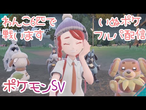 《ポケモンSV/おためしバトル/わんこフルパ/》６匹そだてたからすこし戦ってみよう！