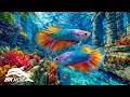 Mysterious Deep Blue Creatures in 8K HDR | Dolby Vision™