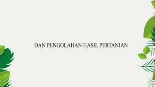 Pengertian Serealia, Tanaman Serealia, Produk dari Serealia dan Teknologi Pascapanen Padi