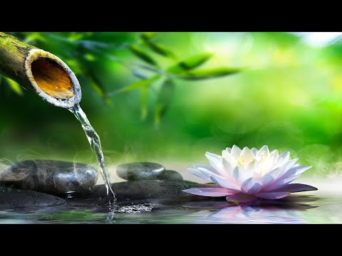 Relaxing Piano Music: Sleep Music, Water Sounds, Relaxing Music, Spa Music