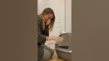 funny cat video 😂😂 #shorts