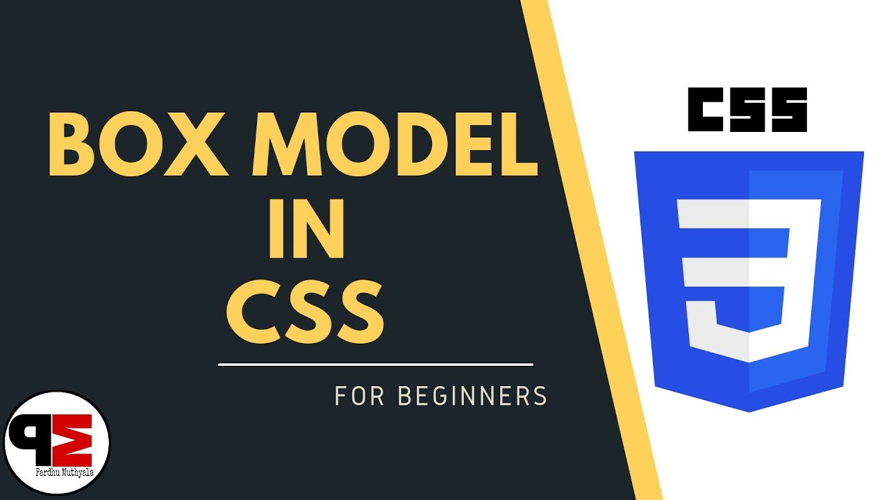 CSS BOX MODEL || For Beginners || In Telugu - YouTube