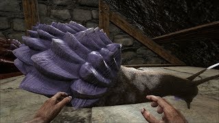 ARK: Survival Evolved - Уроки выживания. Урок 100. Применение ихтиозавров и ахатин. ARK: Survival Evolved - Уроки выживания. Урок 100. Применение ихтиозавров и ахатин.