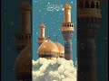 He Mohammad Mera Dil To Seena Ali #yaali #yahussain #karbala#shorts #viralvideo #youtubeshorts#video