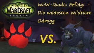 WoW Guide: Achievement: The Wildest Beasts - Odrogg - Slug Fight! screenshot 5