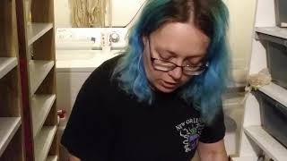 Celebrity Ball Python Clutch #6 of 2019 Net Worth