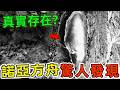 諾亞方舟最可怕的八大驚人發現，上帝的救贖還是人類的噩夢？第一名竟藏著神權統治的終極密碼，99%的信徒從未察覺的真相！|好奇風向標 #top10  #諾亞防守 #世界末日 #驚人發現