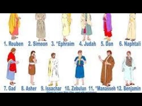 LAS 12 TRIBUS